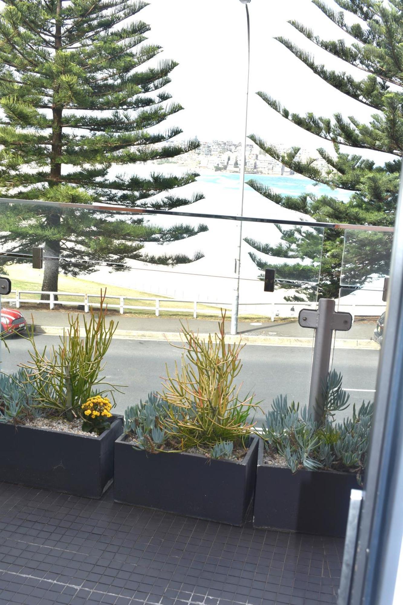 Bondi 38 Serviced Apartments Sydney Bagian luar foto